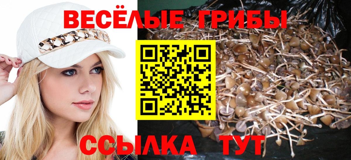 наркота  Вход с VPN  Серпухов  Псилоцибиновые грибы Psilocybe  Псилоцибиновые грибы Psilocybine cubensis 