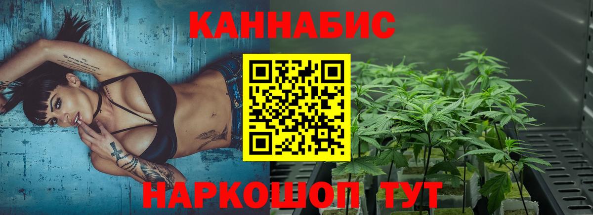 Конопля сатива Серпухов